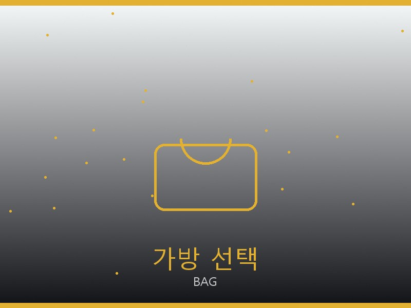 샤넬 네오노에BB S급 가방 선택 가이드