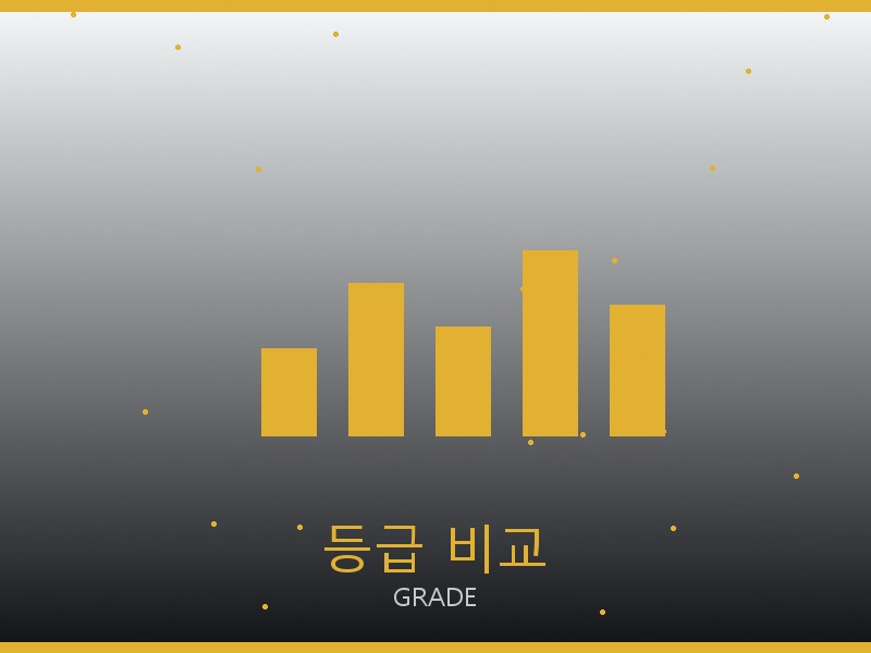샤넬 네오노에BB S급 등급 기준 비교