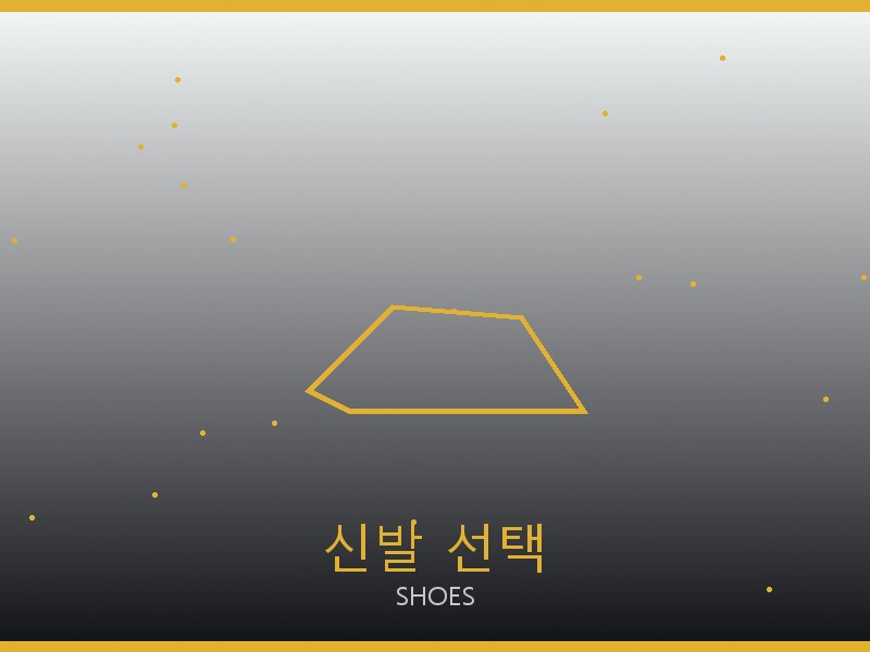 샤넬 네오노에BB S급 신발 선택 가이드